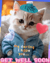 a cat with an ice pack on its head is holding a heart and says get well soon