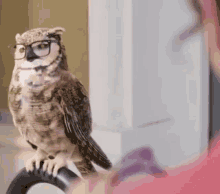 Wow Shocked GIF - Wow Shocked Shook GIFs