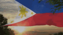 Philippine Flag Flag GIF - Philippine Flag Flag Pride GIFs