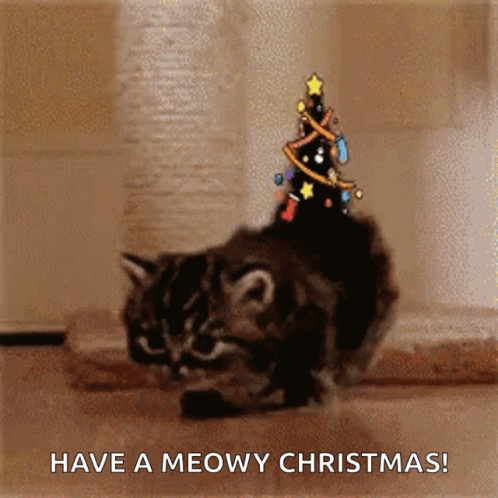 funny christmas cats