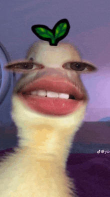 a picture of a duck with a plant on its head
