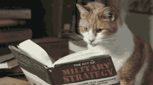 cat military strategy bold book reading