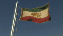a flag with a lion on it flies in the wind