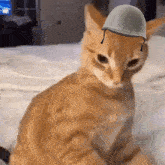 Ratchet Angry Cat GIF - Ratchet Angry Cat Ratchet Soldier GIFs