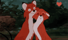 Fox лиса GIF