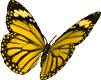 Animated Butterfly Flying GIFs | Tenor