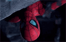 Spiderman Spy GIF - Spiderman Spy Upside Down GIFs