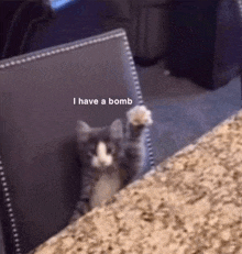 a cat is sitting on a chair with its paw in the air .