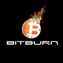 Bitburn GIF - Bitburn GIFs