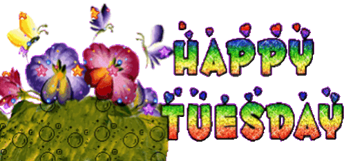 Happy Tueday Rainbow Sticker - Happy Tueday Rainbow Flowers Stickers