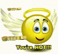 a smiley face with angel wings and the words " you 're hot "