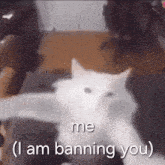 a white cat with the words me ( i am banning you ) written below it