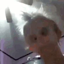 a close up of a person 's face in a room with a purple wall .
