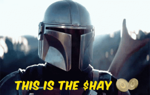 Fr Horse Frh GIF - Fr Horse Frh Hay GIFs