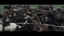 War Horse Cavalry Charge GIF