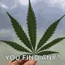 Pot Leaf GIF - Pot Leaf Marijuana GIFs