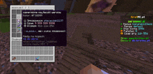 a screenshot of a minecraft game shows a item in a inventory