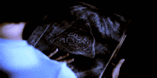 a person is holding a book of shadows in their hand