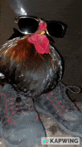 GIF
