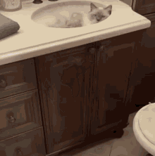 Cat Sink Sink GIF - Cat Sink Sink Cat GIFs