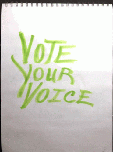 Vote Election GIF - Vote Election I Voted GIFs