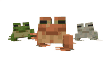 frog minecraft