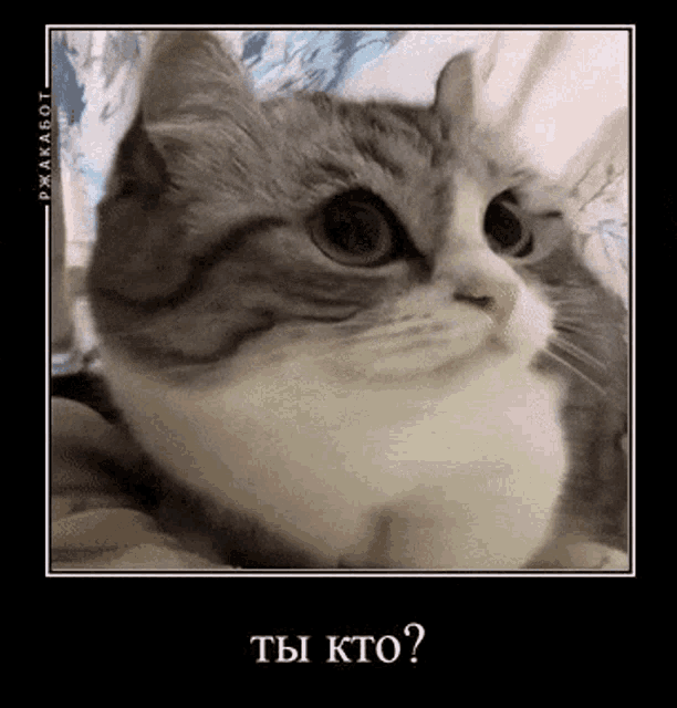 %D1%82%D1%8B%D0%BA%D1%82%D0%BE-%D1%82%D1%8B.gif