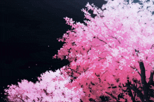 Sakura Tree GIF - Sakura Tree GIFs