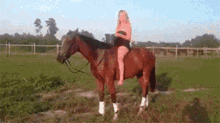 Rado Horse Riding GIF - Rado Horse Riding Water Splash GIFs
