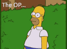 Homer Hiding GIF - Homer Hiding The Op GIFs