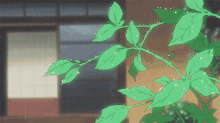 Anime Aesthetic GIF - Anime Aesthetic Leaves GIFs