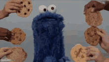 Cookie Monster Cookie For You GIF - Cookie Monster Cookie For You Many GIFs