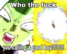 a meme that says who the fuck you calling a good boy !