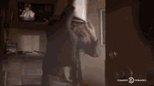 a man throws a pillow in a room with a comedy central logo in the corner