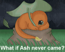 charmander pokemon ash lonely sad