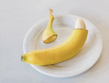 Banane GIF - Banane GIFs