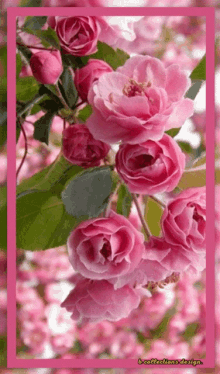 Flores Flowers GIF - Flores Flowers Good GIFs