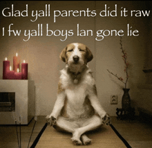a dog sits in a lotus position with the words glad yall parents did it raw