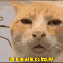 Balooma Time GIF - Balooma Time Already GIFs