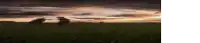 two soldiers are running through a field at sunset .