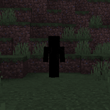 a silhouette of a person standing in a dark room in a video game