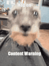 Hop On Content Warning Hop On GIF
