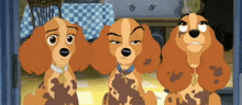 Colette Annette And Danielle Lady And The Tramp 2 GIF