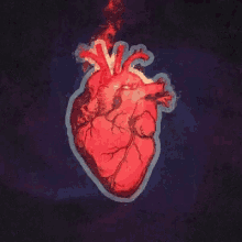 Pounding Heart GIF - Pounding Heart Nervous GIFs