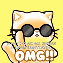 a cartoon cat wearing sunglasses says omg on the bottom