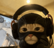 a cat wearing a mask and headphones looks at the camera