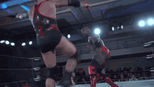 Josh Alexander GIF
