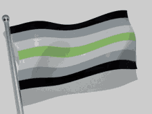 Agender Pride Flag GIF - Agender Pride Flag Big Flag GIFs
