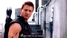 Clint Barton What Are You Doing GIF - Clint Barton What Are You Doing Hawk Eye GIFs