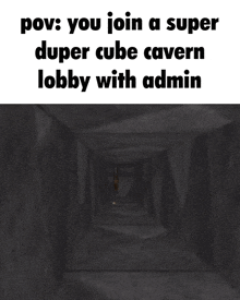 a horse in a cave with the words " you join a super duper cube cavern lobby with admin " below it